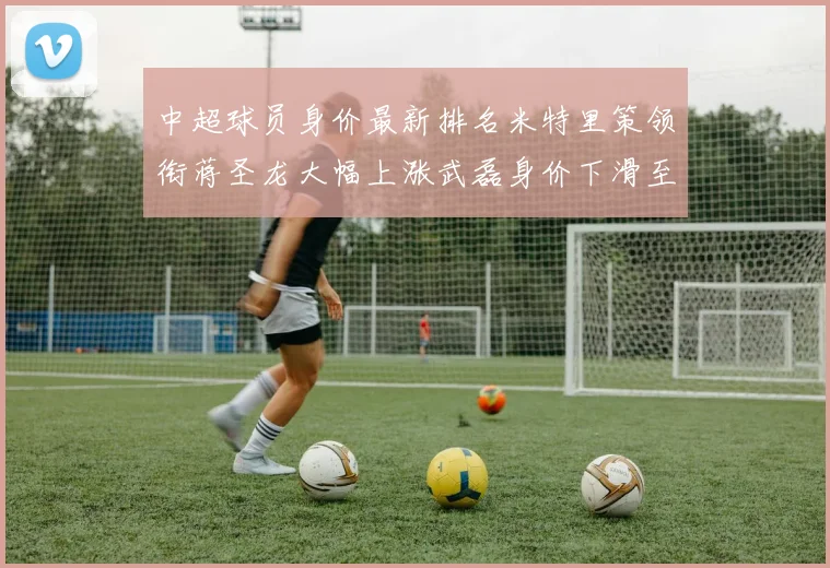中超球员身价最新排名米特里策领衔蒋圣龙大幅上涨武磊身价下滑至50万