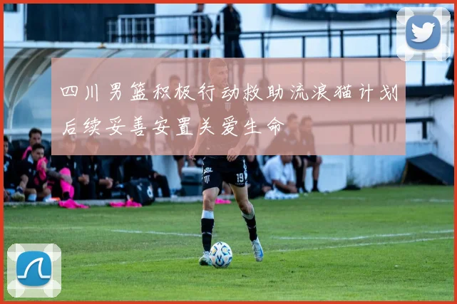四川男篮积极行动救助流浪猫计划后续妥善安置关爱生命