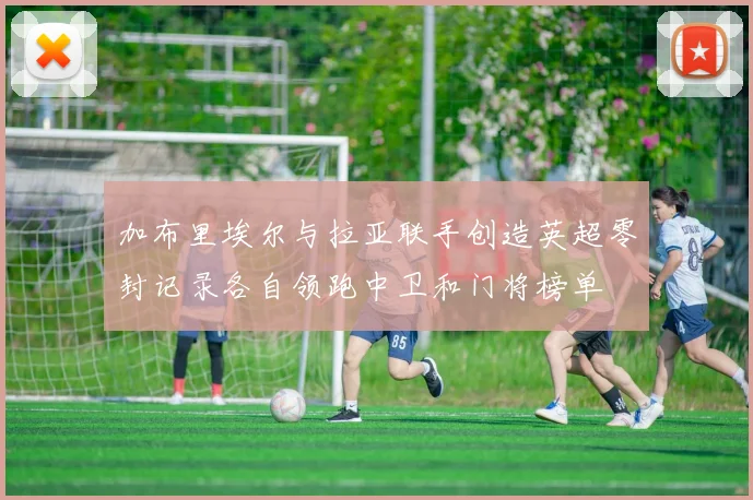 加布里埃尔与拉亚联手创造英超零封记录各自领跑中卫和门将榜单