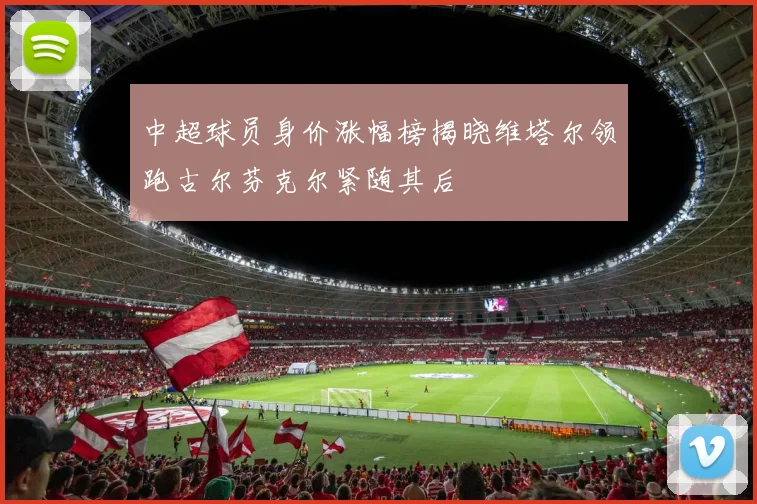 中超球员身价涨幅榜揭晓维塔尔领跑古尔芬克尔紧随其后