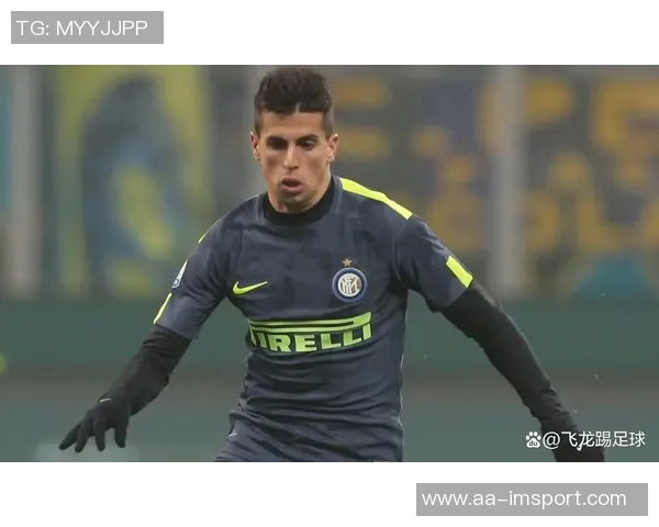 国米与坎塞洛新接触进行中薪资分配尚未达成一致 国米与坎塞洛新接触进行中薪资分配尚未达成一致